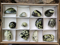 Polished Leopard Stone Standing Free Forms x 12 From Nyanga, Zimbabwe