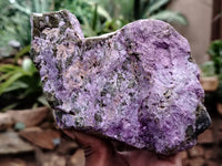 Natural Stichtite Cobbed Specimens x 3 From Barberton, South Africa