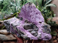 Natural Stichtite Cobbed Specimens x 3 From Barberton, South Africa