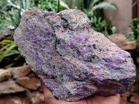 Natural Stichtite Cobbed Specimens x 3 From Barberton, South Africa