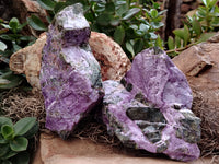 Natural Stichtite Cobbed Specimens x 3 From Barberton, South Africa