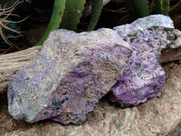 Natural Stichtite Cobbed Specimens x 3 From Barberton, South Africa