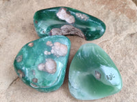 Polished Emerald Mtorolite Free Forms x 12 From Mutorashanga, Zimbabwe