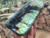 Polished Labradorite Standing Free Forms x 3 From Tulear, Madagascar