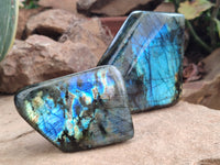 Polished Labradorite Standing Free Forms x 3 From Tulear, Madagascar