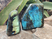 Polished Labradorite Standing Free Forms x 3 From Tulear, Madagascar