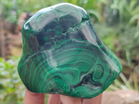 Polished Flower Banded Malachite Free Forms x 3 From Congo