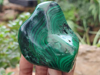 Polished Flower Banded Malachite Free Forms x 3 From Congo