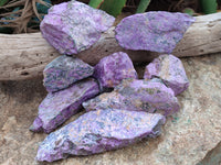 Natural Stichtite Cobbed Specimens x 13 From Barberton, South Africa