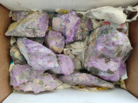 Natural Stichtite Cobbed Specimens x 13 From Barberton, South Africa