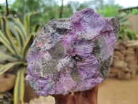 Natural Stichtite Cobbed Specimens x 13 From Barberton, South Africa