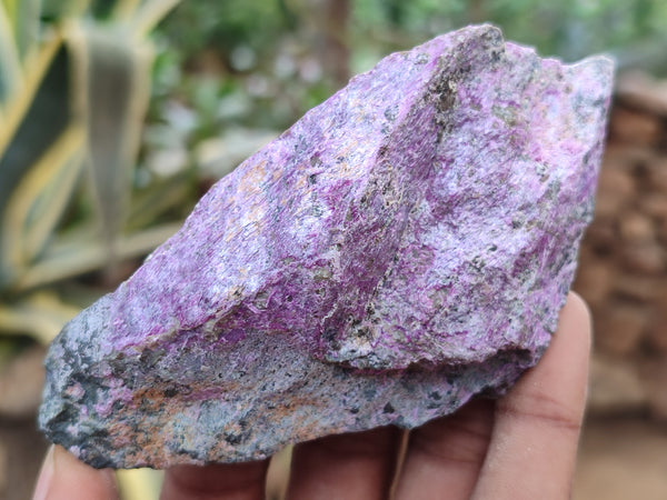 Natural Stichtite Cobbed Specimens x 13 From Barberton, South Africa