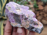 Natural Stichtite Cobbed Specimens x 13 From Barberton, South Africa