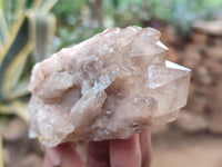 Natural Smokey Phantom Quartz Clusters x 12 From Luena, Congo