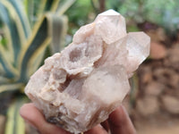 Natural Smokey Phantom Quartz Clusters x 12 From Luena, Congo