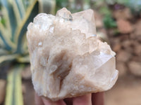 Natural Smokey Phantom Quartz Clusters x 12 From Luena, Congo