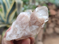 Natural Smokey Phantom Quartz Clusters x 12 From Luena, Congo