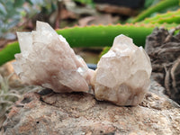 Natural Smokey Phantom Quartz Clusters x 12 From Luena, Congo