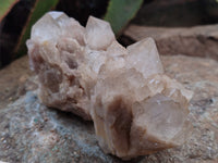 Natural Smokey Phantom Quartz Clusters x 12 From Luena, Congo