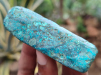 Polished Shattuckite With Chrysocolla and Azurite Free Forms x 12 From Congo