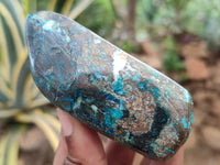 Polished Shattuckite With Chrysocolla and Azurite Free Forms x 12 From Congo