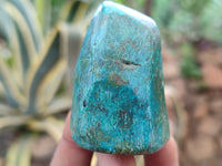 Polished Shattuckite With Chrysocolla and Azurite Free Forms x 12 From Congo