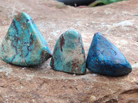 Polished Shattuckite With Chrysocolla and Azurite Free Forms x 12 From Congo