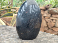 Polished Black Tourmaline Standing Free Forms x 2 From Madagascar