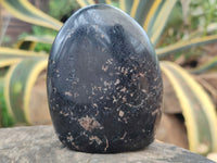 Polished Black Tourmaline Standing Free Forms x 2 From Madagascar