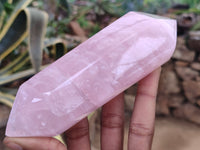 Polished Double Terminated Rose Quartz Points x 6 From Ambatondrazaka, Madagascar