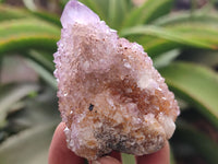 Natural Amethyst Spirit Quartz Clusters x 17 From Boekenhouthoek, South Africa