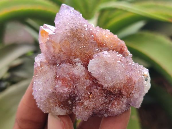 Natural Amethyst Spirit Quartz Clusters x 17 From Boekenhouthoek, South Africa