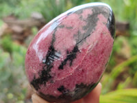 Polished Rhodonite Gemstone Eggs x 4 From Madagascar