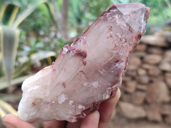 Natural Red Hematoid Quartz Clusters x 6 From Karoi, Zimbabwe