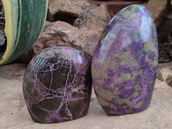 Polished Stichtite Standing Free Forms x 2 From Barberton, South Africa