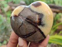 Polished Septerye Hearts x 6 From Mahajanga, Madagascar