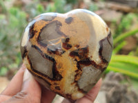 Polished Septerye Hearts x 6 From Mahajanga, Madagascar