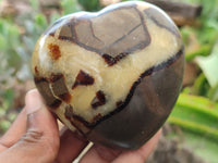 Polished Septerye Hearts x 6 From Mahajanga, Madagascar