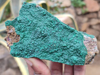 Natural Botryoidal Malachite Specimens x 6 From Congo