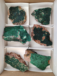 Natural Botryoidal Malachite Specimens x 6 From Congo