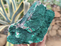 Natural Botryoidal Malachite Specimens x 6 From Congo