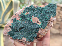 Natural Botryoidal Malachite Specimens x 6 From Congo