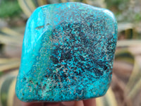 Polished Shattuckite With Chrysocolla and Azurite Free Forms x 3 From Congo