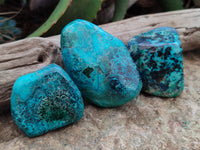 Polished Shattuckite With Chrysocolla and Azurite Free Forms x 3 From Congo