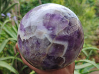 Polished Chevron Amethyst Sphere x 1 From Zambia