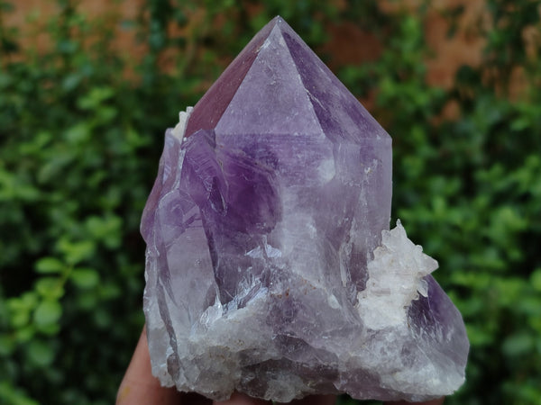 Natural Jacaranda Amethyst Quartz Clusters x 6 from Mumbwa, Zambia