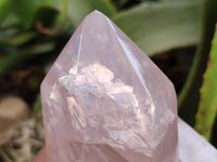 Polished Double Terminated Rose Quartz Points x 3 From Ambatondrazaka, Madagascar