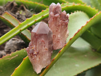 Natural Red Hematoid Quartz Crystals x 35 From Karoi, Zimbabwe