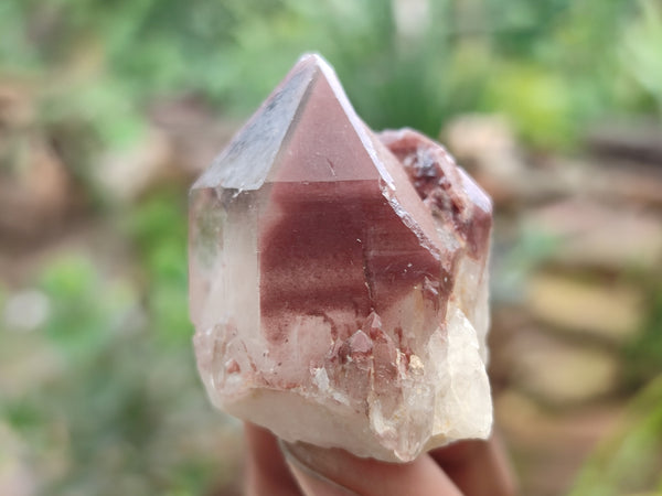 Natural Red Hematoid Quartz Crystals x 35 From Karoi, Zimbabwe