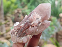 Natural Red Hematoid Quartz Crystals x 35 From Karoi, Zimbabwe